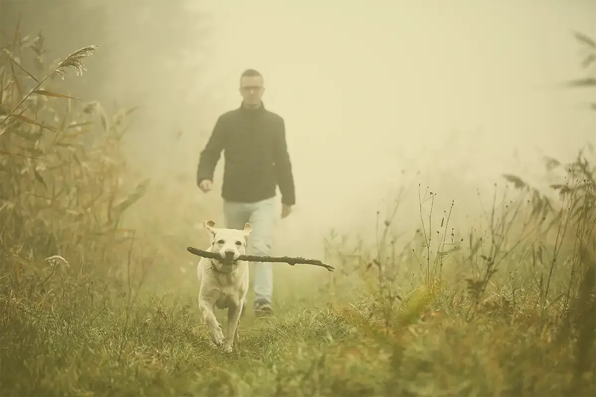 Dog running ahead of man in field, holding a comically long stick